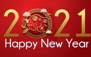 Phim chiếu rạp Tết 2021: “Đường đua” của 4 bộ phim Việt