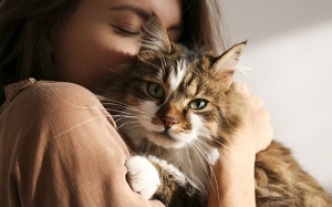 Tử vi Chủ nhật (31/1/2021): Ma Kết phải gặp gỡ nhiều người bạn mới