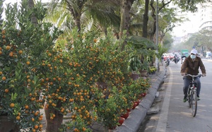 Hàng Đậu, Phạm Văn Đồng có chỉ số không khí ở mức xấu