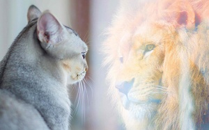 Tử vi thứ Hai (22/2/2021): Kim Ngưu đang tỏ ra khá tham vọng