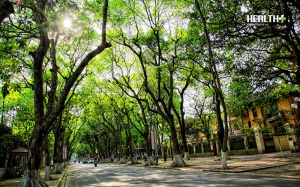 Dự báo thời tiết đêm 22 ngày 23/2: Nắng đẹp, thời tiết thuận lợi trên cả nước