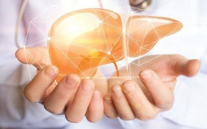 Gan nhiễm mỡ độ 2 có nguy hiểm không?