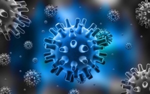 Làm sao để xác định được ai là nguồn lây virus?