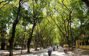 Thời tiết ngày mai 25/2: Nắng trải dài từ Bắc vào Nam