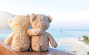 Tử vi thứ Sáu (26/2/2021): Xử Nữ nên củng cố các mối quan hệ xã hội