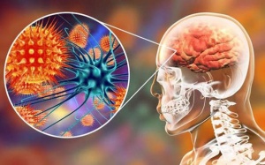 Cảnh báo về một loại virus mới có thể gây ra đại dịch tiếp theo 