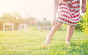 Lý do nào khiến bạn thường xuyên bị muỗi đốt?