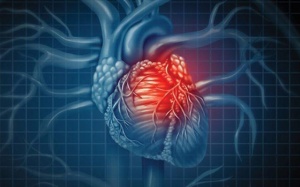 Tổng quan về suy mạch vành: Đây có phải một bệnh nguy hiểm?