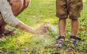 Tinh dầu đuổi muỗi, làm dịu vết muỗi đốt