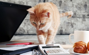 Tử vi thứ Sáu (9/4/2021): Bảo Bình nên tỏ ra linh hoạt hơn khi làm việc