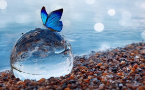 Tử vi thứ Tư (14/4/2021): Cự Giải không nên tỏ ra quá nóng vội, hấp tấp