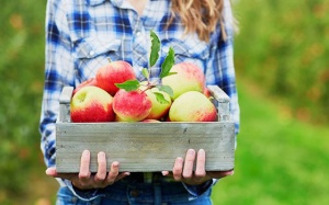 3 loại quả, trái cây tốt cho người bệnh sỏi mật