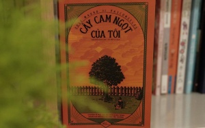 Câu chuyện đẹp đẽ trong Cây cam ngọt của tôi