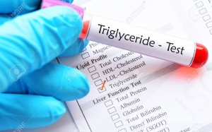 Kiểm soát chỉ số triglyceride tăng cao bằng sản phẩm thảo dược 