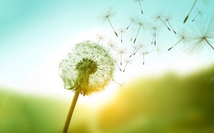 Tử vi thứ Sáu (7/5/2021): Bạch Dương có ngày mới nhiều biến động