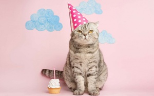 Tử vi thứ Hai (17/5/2021): Bảo Bình sẽ có buổi ăn mừng cùng gia đình