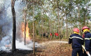 Dự báo thời tiết ngày 20/5: Miền Trung nắng nóng kéo dài, cảnh báo cháy rừng
