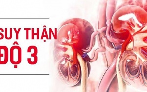 Kiểm soát suy thận độ 3 an toàn, hiệu quả bằng thảo dược