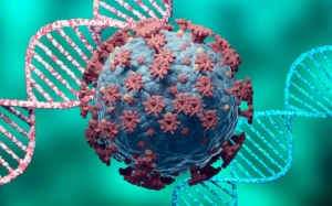 Thêm Đà Nẵng, Điện Biên đã xuất hiện chủng virus đang hoành hành ở Ấn Độ