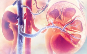 Ổn định sức khỏe người suy thận độ 4 nhờ sản phẩm thảo dược