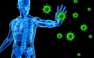 4 cách giúp hệ miễn dịch luôn khỏe mạnh 