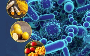 9 loại thực phẩm kháng khuẩn giúp bảo vệ bạn khỏi các mầm bệnh