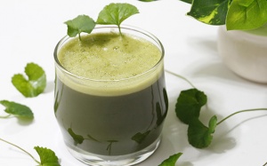 Những lưu ý khi dùng rau má giải nhiệt trong mùa Hè