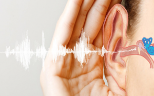 Hỗ trợ cải thiện điếc đột ngột một bên tai nhờ sản phẩm thảo dược