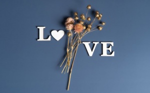 Tử vi thứ Ba (29/6/2021): Xử Nữ muốn thể hiện tình cảm trong ngày hôm nay