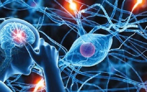 Cải thiện rối loạn thần kinh thực vật bằng sản phẩm thảo dược