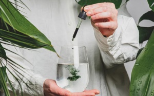 Lợi ích của nước diệp lục và cách sử dụng đúng đắn