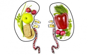 Nguyên tắc dinh dưỡng dành cho bệnh nhân suy thận độ 3 