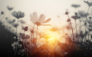 Tử vi thứ Ba (20/7/2021): Song Tử nên giữ bình tĩnh khi đối mặt với khó khăn