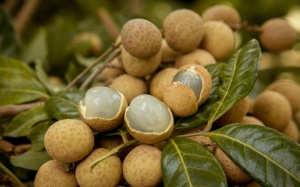 13 lợi ích của quả nhãn đối với sức khỏe