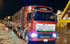 Vinamilk tiếp nhận thành công 1000 bò sữa HF thuần chủng tại Lào