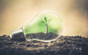 Tử vi thứ Tư (18/8/2021): Bọ Cạp cần chịu trách nhiệm với hành động của mình