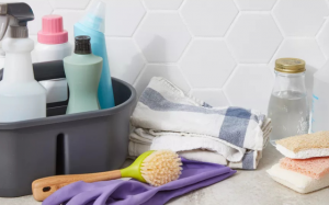 Đảm bảo vệ sinh nhà ở trong mùa dịch