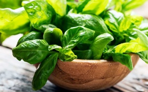 11 lợi ích của húng tây: Kháng khuẩn, chống trầm cảm, tăng cường miễn dịch