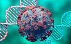 Tìm ra kháng thể vô hiệu hóa được các biến chủng của SARS-CoV-2