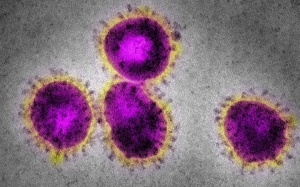 WHO đang theo dõi 2 biến thể mới có khả năng kháng vaccine ở Nam Phi và Colombia