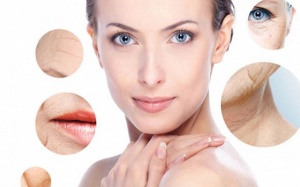 8 thực phẩm giúp làm chậm quá trình lão hóa da hiệu quả