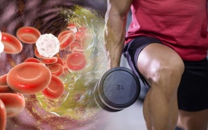 6 bài tập dành cho người bị mỡ máu cao, phòng xơ vữa động mạch