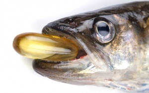 Tại sao nên bổ sung dầu cá vào chế độ ăn uống?