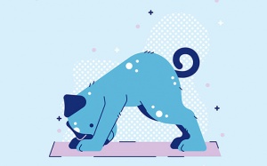 17 tư thế yoga giúp bạn dễ ngủ, có giấc ngủ ngon