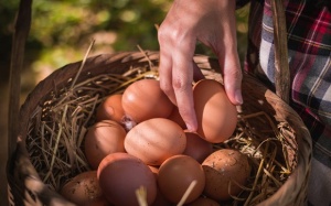 7 loại thực phẩm giàu tryptophan có thể giúp cải thiện tâm trạng 