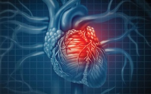 Tổng quan về bệnh tim thiếu máu cục bộ: Triệu chứng, điều trị thế nào?