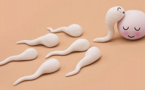 7 thói quen làm giảm số lượng 'tinh binh' của các quý ông