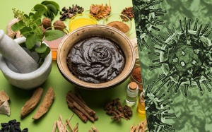 Bộ Y tế hướng dẫn sử dụng y dược cổ truyền để phòng COVID-19