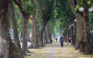 Dự báo thời tiết ngày 20/10: Bắc Bộ mưa giảm, nhiệt độ tăng nhẹ