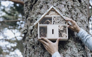 Tử vi thứ Sáu (29/10/2021): Thiên Bình muốn chăm sóc nhiều hơn cho gia đình